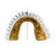 Капа OPRO Gold Braces під брекети, Доросла (вік 11+) White/Gold, Посадка: кип’ятіння та компресійна клітка, Медичний полімер, Гель Hi-Flow, Біло-золотий