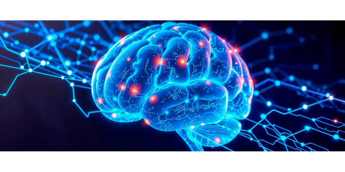 Цитиколин (CDP-холин): поддержка когнитивных функций и нейропротекция