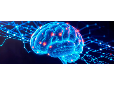 Цитиколин (CDP-холин): поддержка когнитивных функций и нейропротекция