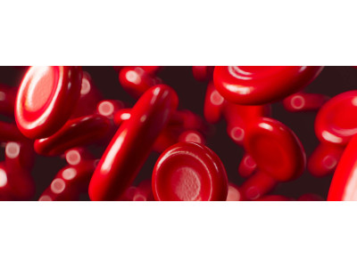 Гемоглобин ≠ железо: почему нормальный гемоглобин не исключает дефицит железа