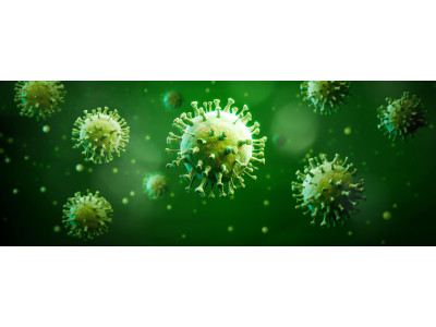 Профилактика инфекций ротоглотки с помощью Streptococcus salivarius K12