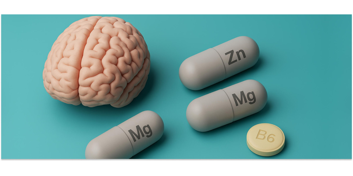 Цинк и когнитивные функции: почему ZMA эффективнее комбинации Mg+B6