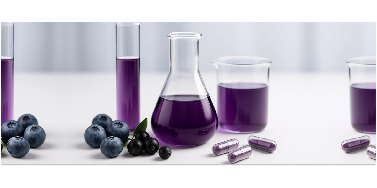 Голубика и мозг: действительно ли это лучшая ягода для когнитивной функции?