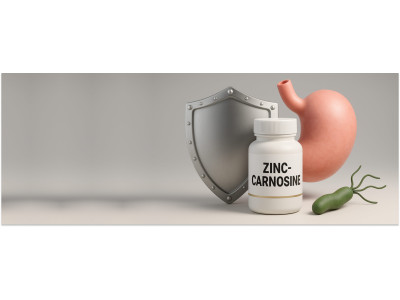 Цинк-карнозин — защита слизистой желудка и поддержка при инфекции Helicobacter pylori
