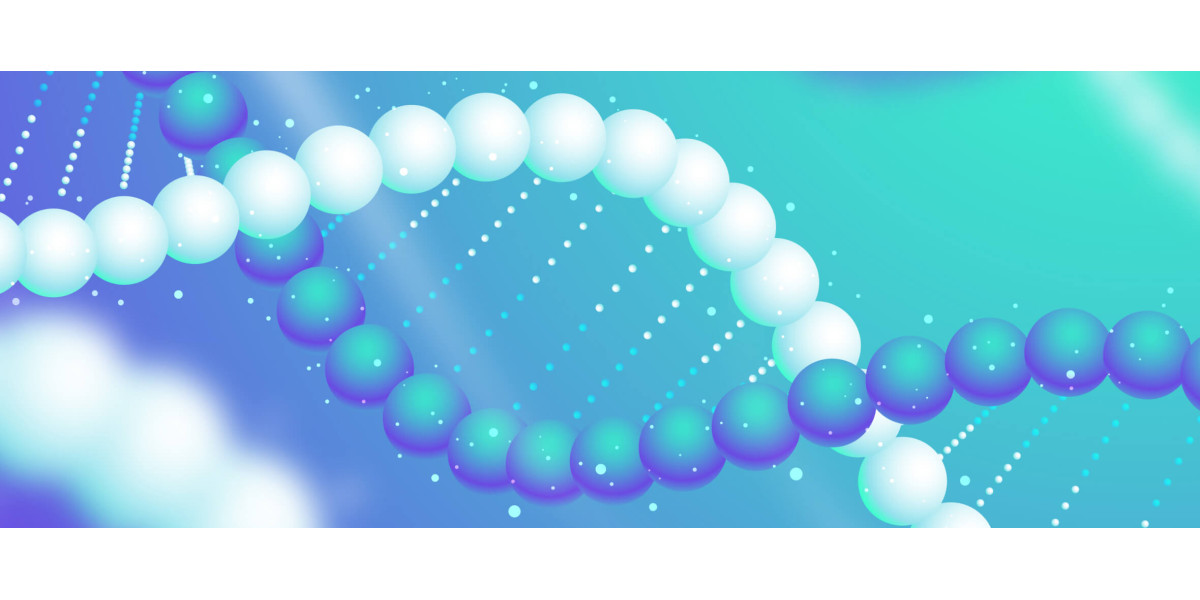 Теломеры: биологические часы организма