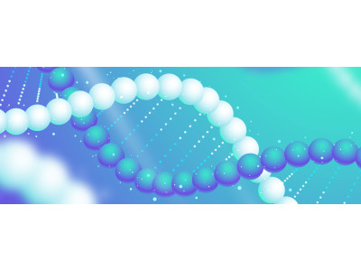 Теломеры: биологические часы организма