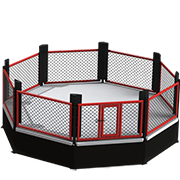 Октагони (клітки) MMA