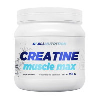 All Nutrition, Creatine Muscle Max, 250 g, unflavored