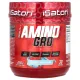 Isatori, Amino-Gro, Blue Razz Snow Cone , 10.6 oz (300 g)