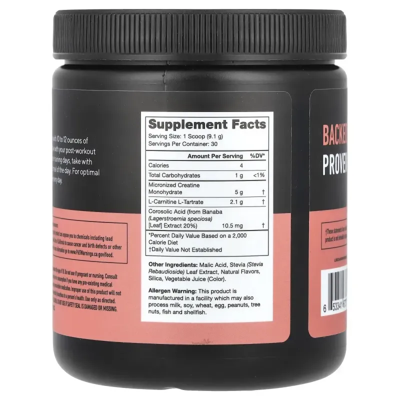 Legion Athletics, Recharge, Post-Workout Drink, Watermelon, 0.6 lbs (273 g)