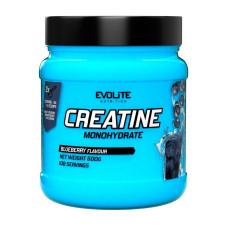 Creatine Monohydrate Evolite Nutrition 500 g blueberry