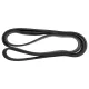 Serious Steel Fitness, 32 Inch Resistance Band, #5 Black, 1 CountSerious Steel Fitness — еластична стрічка опору №5, чорна