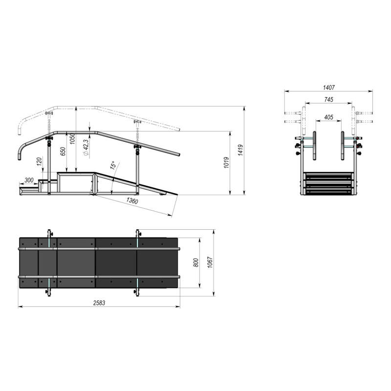 Сходи реабілітаційні з похилим підйомом InterAtletika C3346.1