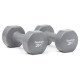 Гантелі Reebok RAWT-18005 5 кг