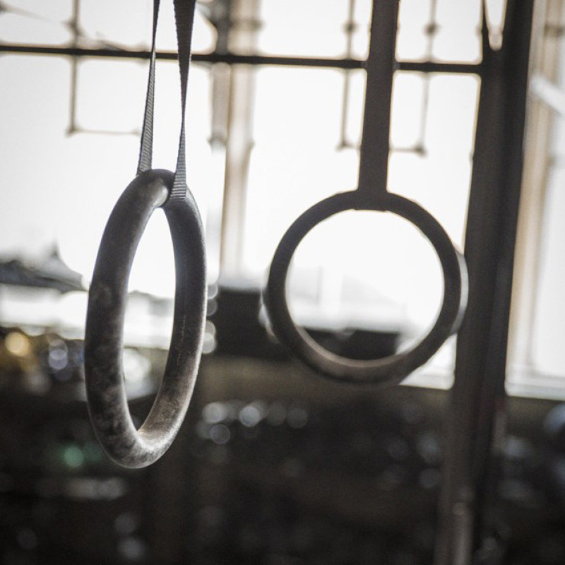 Кольца для кросфита Reebok RSRP-10060