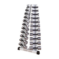 Стойка с набором гантелей хром-пластик 0,5-10 кг InterAtletikGym ST410.1