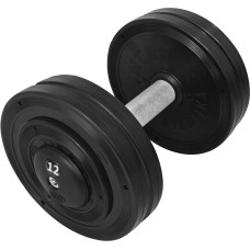 Гантель професійна InterAtletika ST552.12 12 кг