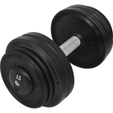 Гантель профессиональная InterAtletika ST552.15 15 кг