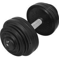 Гантель профессиональная InterAtletika ST552.17 17 кг