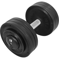 Гантель профессиональная InterAtletika ST552.18 18 кг