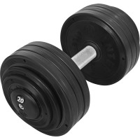 Гантель профессиональная InterAtletika ST552.20 20 кг