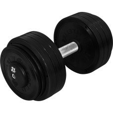 Гантель професійна InterAtletika ST552.21 21 кг