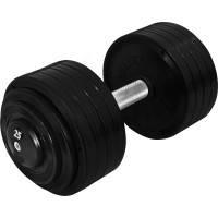 Гантель професійна InterAtletika ST552.25 25 кг