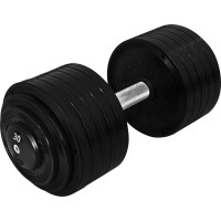 Гантель профессиональная InterAtletika ST552.30 30 кг