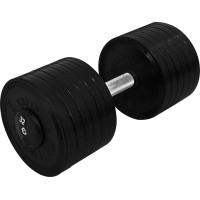 Гантель профессиональная InterAtletika ST552.32 32 кг