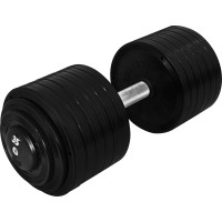 Гантель профессиональная InterAtletika ST552.35 35 кг