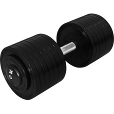 Гантель профессиональная InterAtletika ST552.38 38 кг