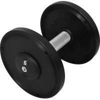 Гантель професійна InterAtletika ST552.6 6 кг