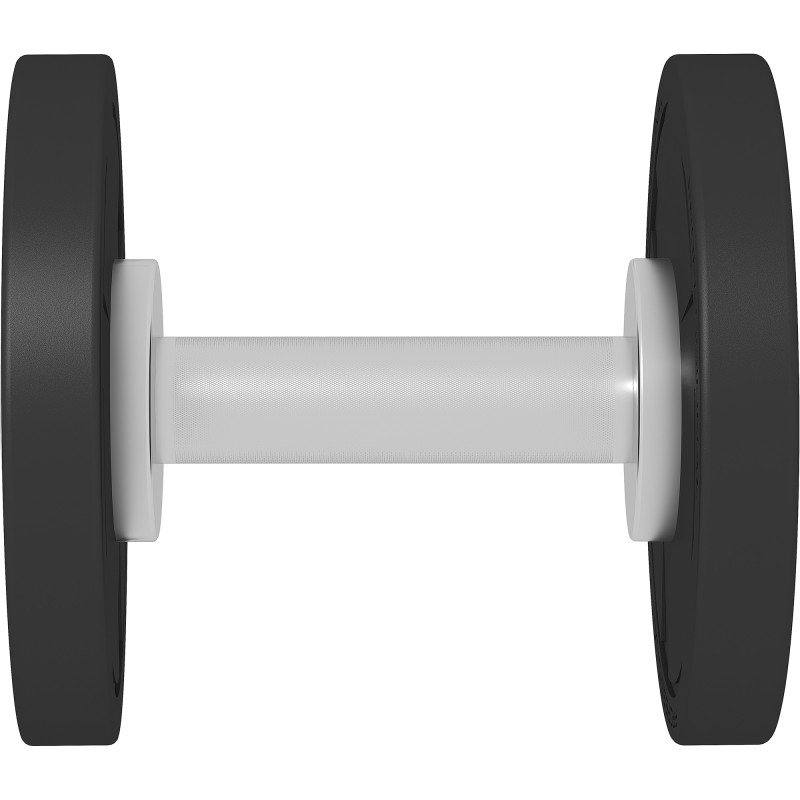 Гантель профессиональная премиум InterAtletika ST555.10 10 кг