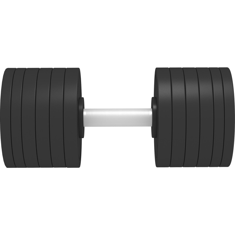 Гантель профессиональная премиум InterAtletika ST555.42,5-P 42,5 кг