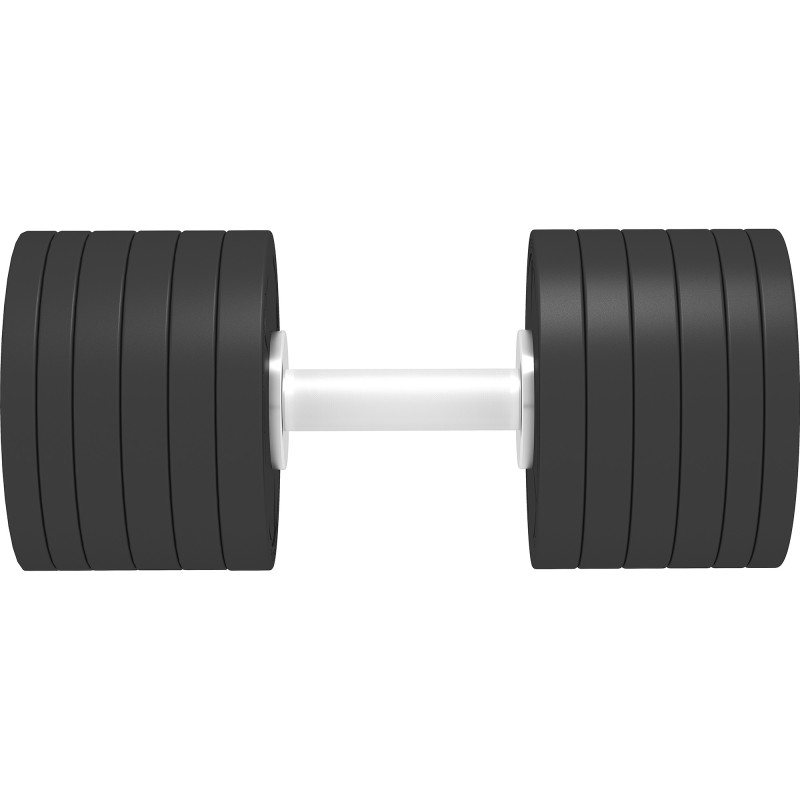 Гантель профессиональная премиум InterAtletika ST555.42,5 42,5 кг