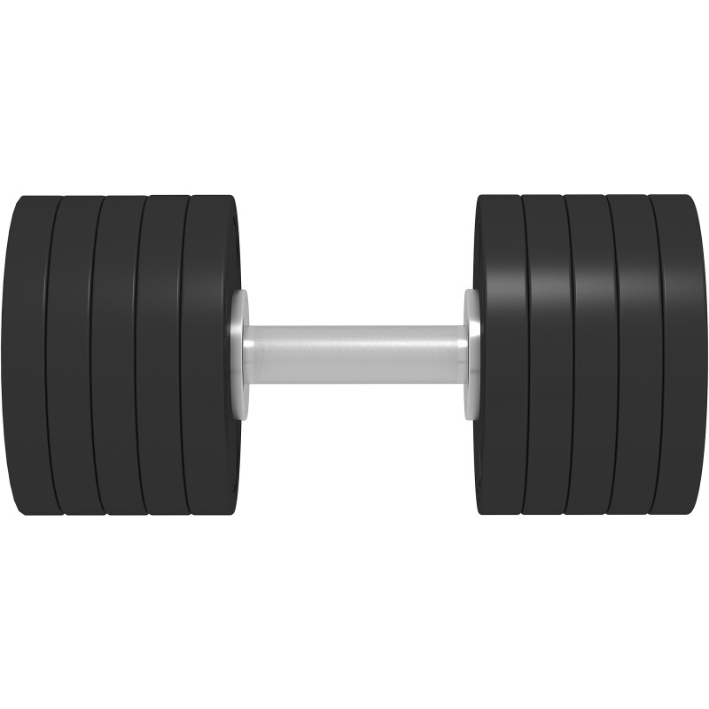 Гантель профессиональная премиум InterAtletika ST555.45 45 кг