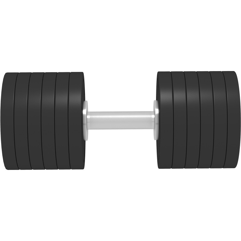 Гантель професійна преміум InterAtletika ST555.47,5 47,5 кг