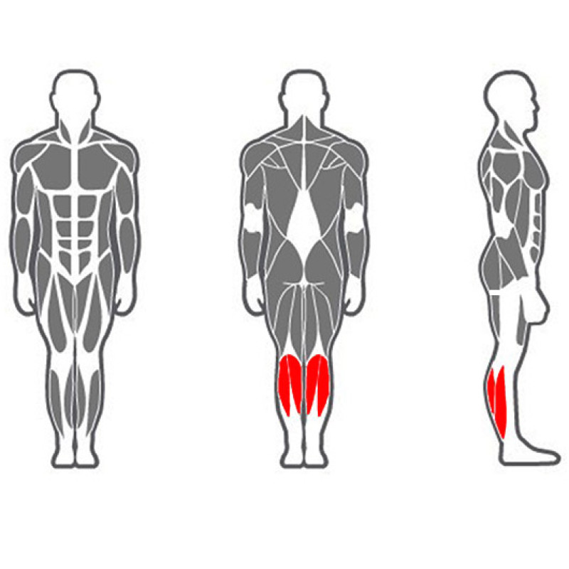 Гомілка-машина (стоячи) Xline X119