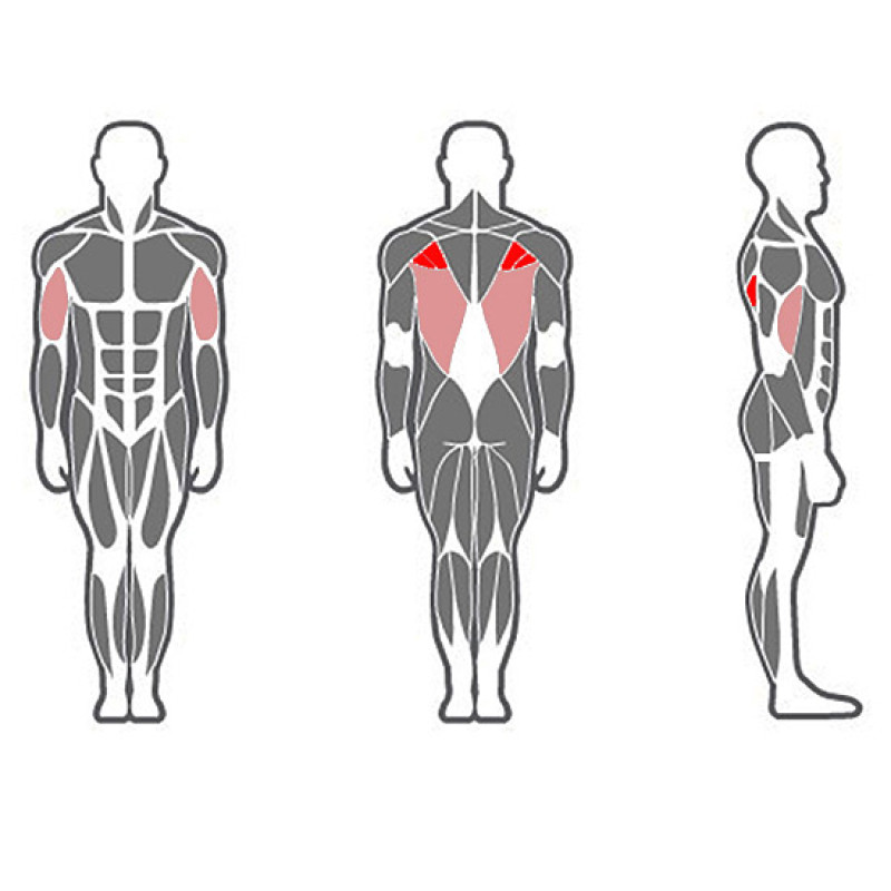 Тяга вниз Xline X211