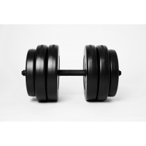 Гантель 25кг Гантель 25кг