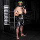 Боксерський шолом Phantom APEX Full Face Neon One Size Black/Yellow