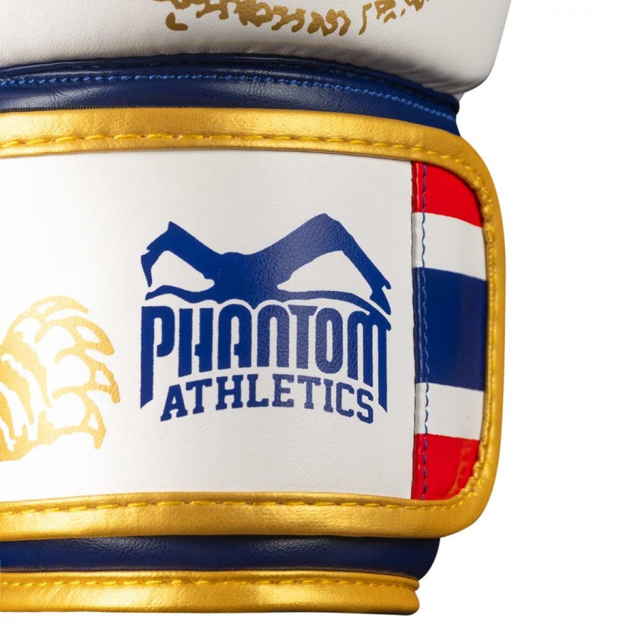 Боксерські рукавиці Phantom Muay Thai Gold Limited Edition 16 унцій (бинти в подарунок)