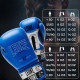 Боксерські рукавиці Leone GN208 ICONIC Blue 12 унцій (бинти 4 м. в комплекті)