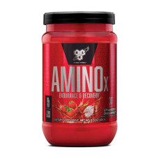 BCAA, Amino X, BSN, 435 г (Виноград)