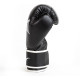 Боксерські рукавиці Everlast CORE 2 TRAINING GLOVE