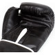 Боксерські рукавиці Everlast CORE 2 TRAINING GLOVE