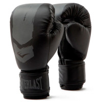 Боксерські рукавиці Everlast PROSPECT 2 BOXING GLOVE