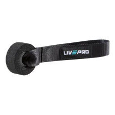 Фіксатор для еспандера LivePro DOOR ANCHOR