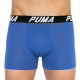 Труси-боксери Puma SPACEDYE STRIPE BOXER 2 пари