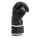 Боксерські рукавиці Everlast CORE 2 TRAINING GLOVE